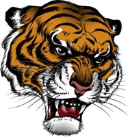 Tiger Head, Graphics, and Stock Art for Logo Design