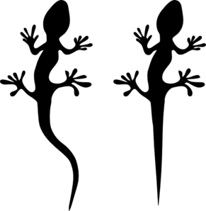Lizard Outline Template - ClipArt Best