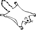 flyingsquirrel.gif