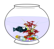 aquario_do_belchior_thumb