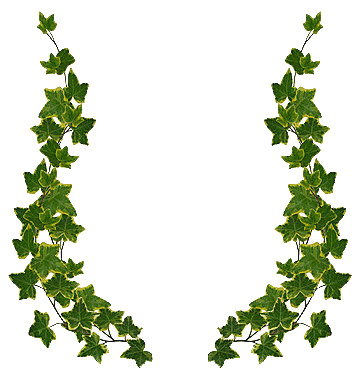 Ivy border clip art free