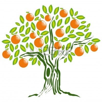 Trees, Orange and Orange trees