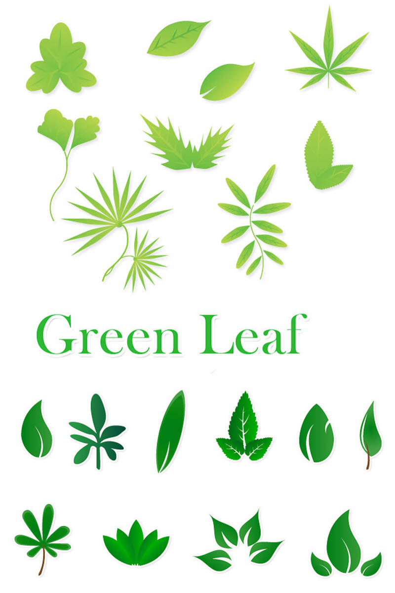 Green Leaf Vector - ClipArt Best