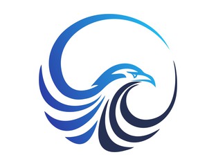 Search photos hawk