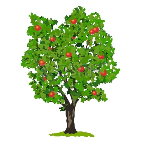 Realistic Apple Tree Drawing - Free Clipart Images