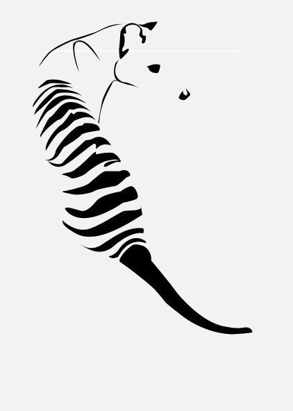Ideas, Tiger tattoo and Tigers
