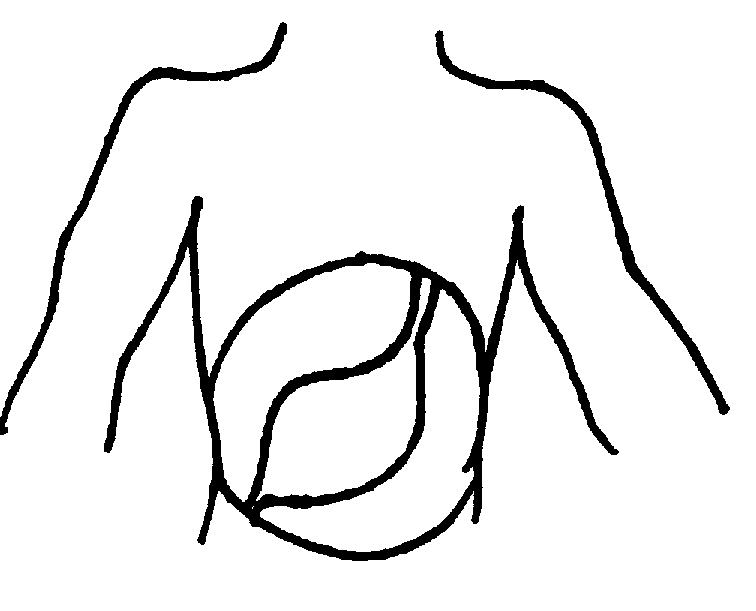 Stomach clipart black and white