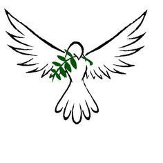 Dove With Olive Branch | Dove And ...