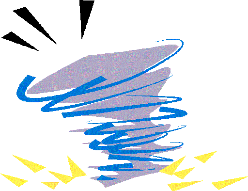 Storms and Animals