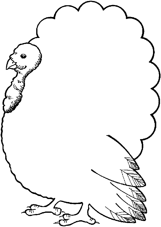 Thanksgiving Turkey Page Border - Free Page Borders | SpyFind