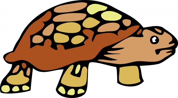 Cartoon Tortoise Clipart Free Stock Photo - Public Domain Pictures