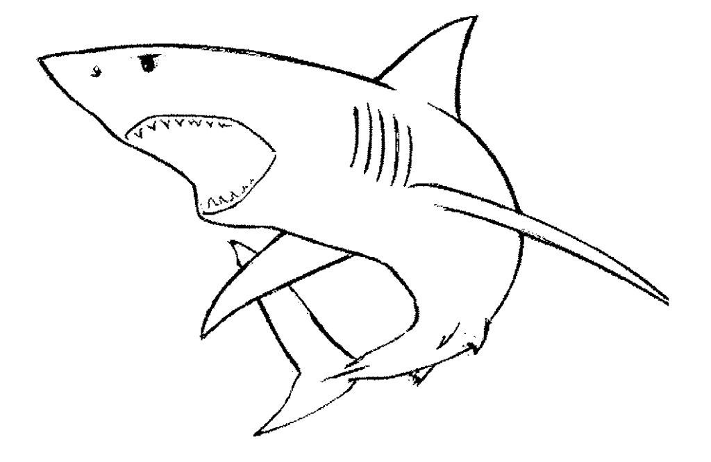 mine | Tribal Shark Tattoos, Shark Tattoos and Sharks