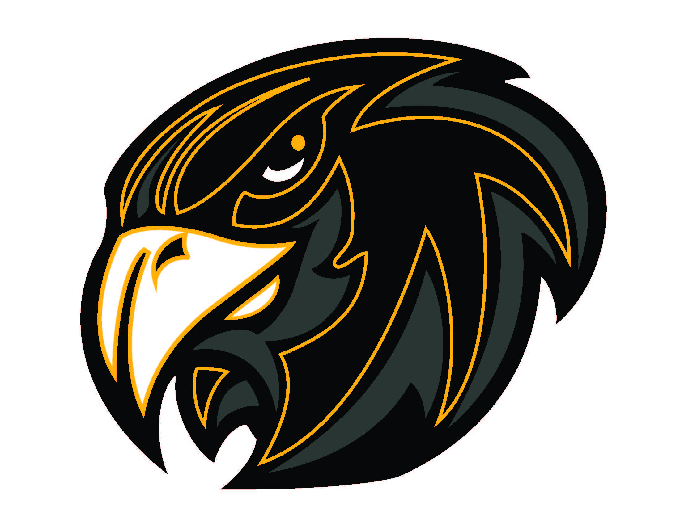 Hawk Head Clipart - Free Clipart Images