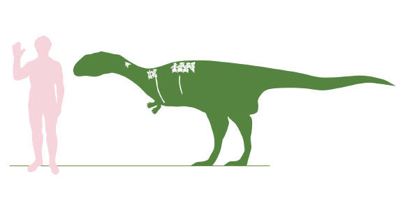 New Carnivorous Dinosaur from Madagascar Named 'Lonely Little ...