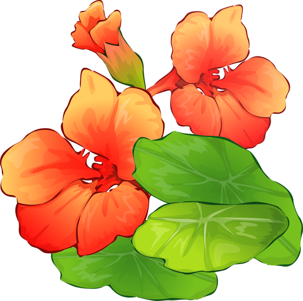 Summer Flowers Clipart - Free Clipart Images