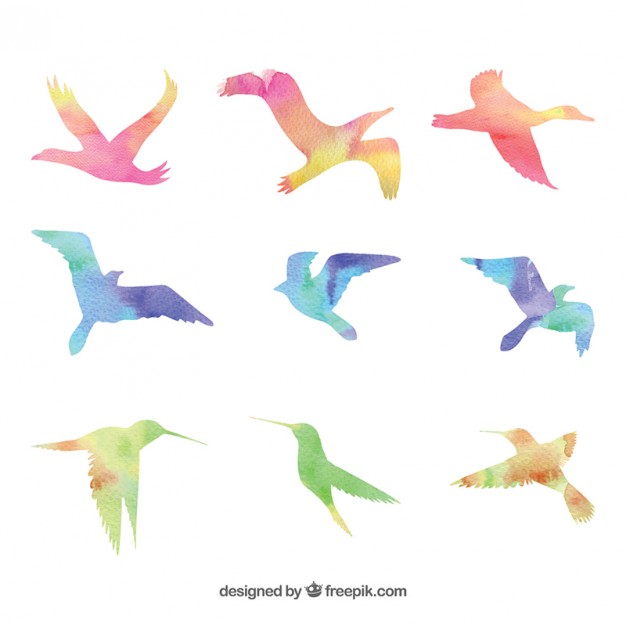 Bird Vectors, Photos and PSD files | Free Download