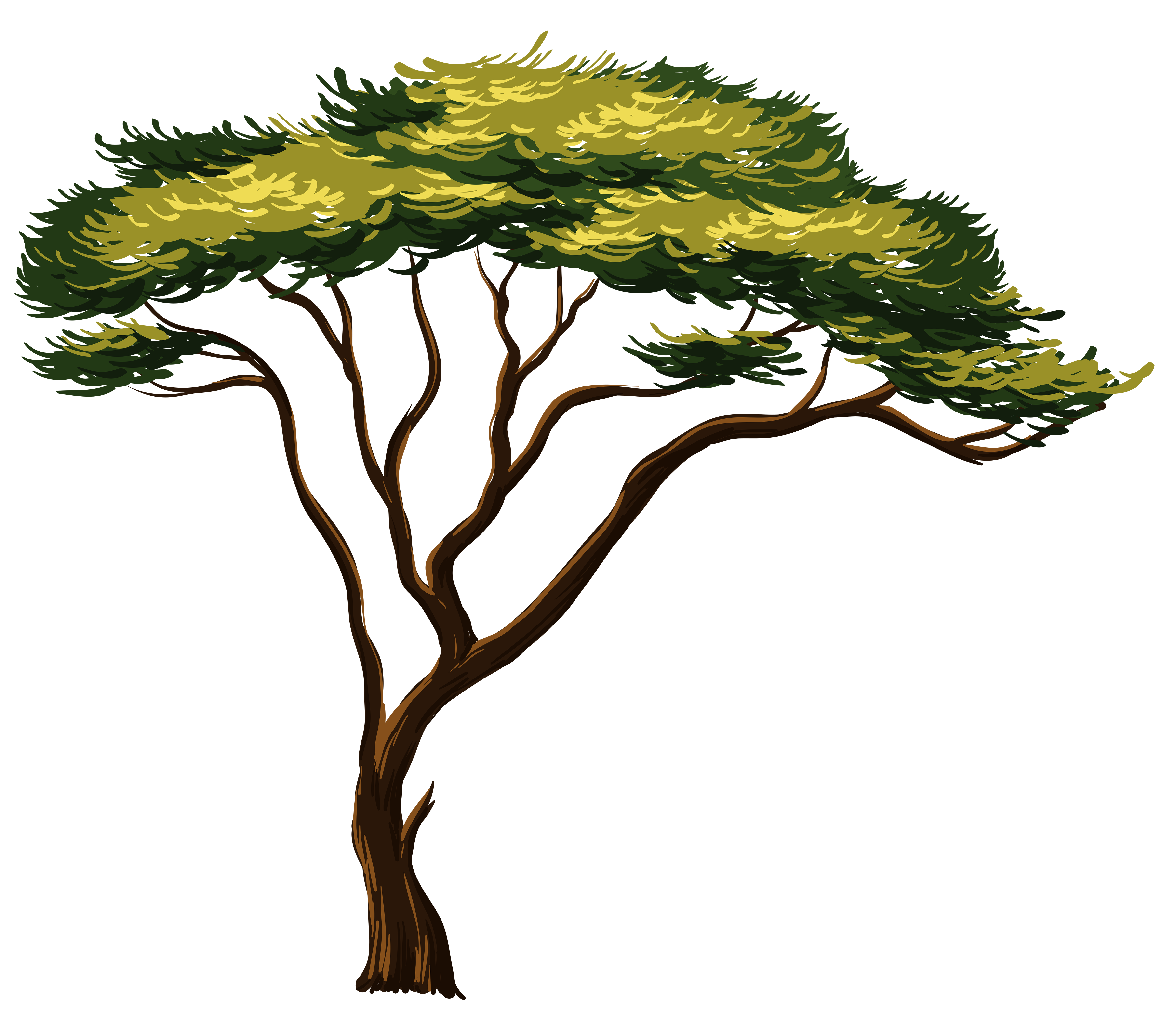 Painted African Tree PNG Clipart Picture
