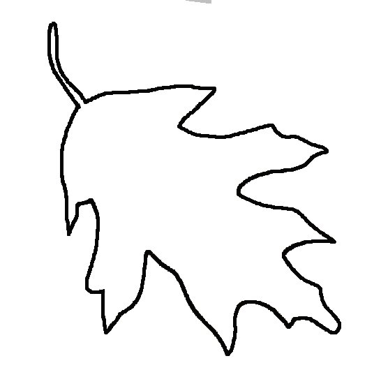 Best Photos of Printable Leaf Shape Patterns - Leaf Template ...