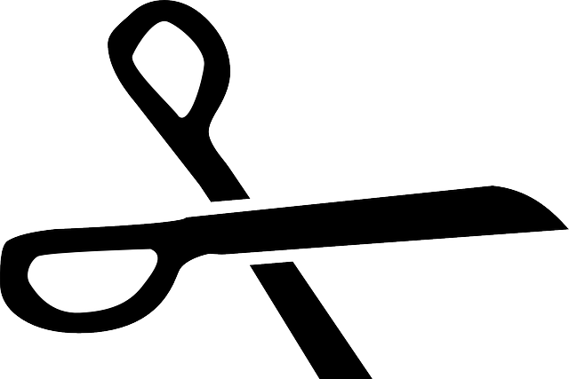 BLACK, ICON, SCISSORS, SYMBOL, SILHOUETTE, WHITE - Public Domain ...
