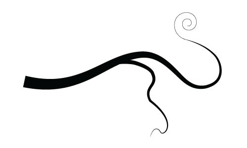 Design with swirls and flourishes | Special Effects