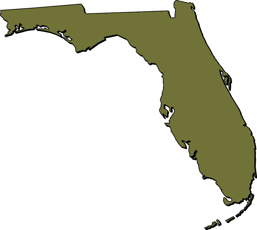 Florida "Clipart" Style Maps in 50 Colors