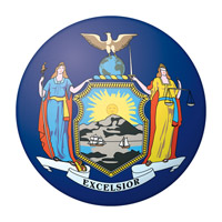 a to z the usa: New York State Flag Variations in Color
