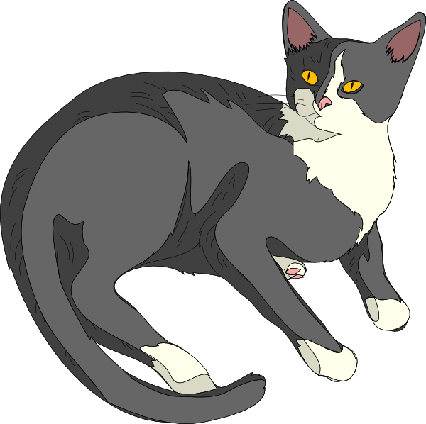 Gatto Cat clip art Free Vector / 4Vector