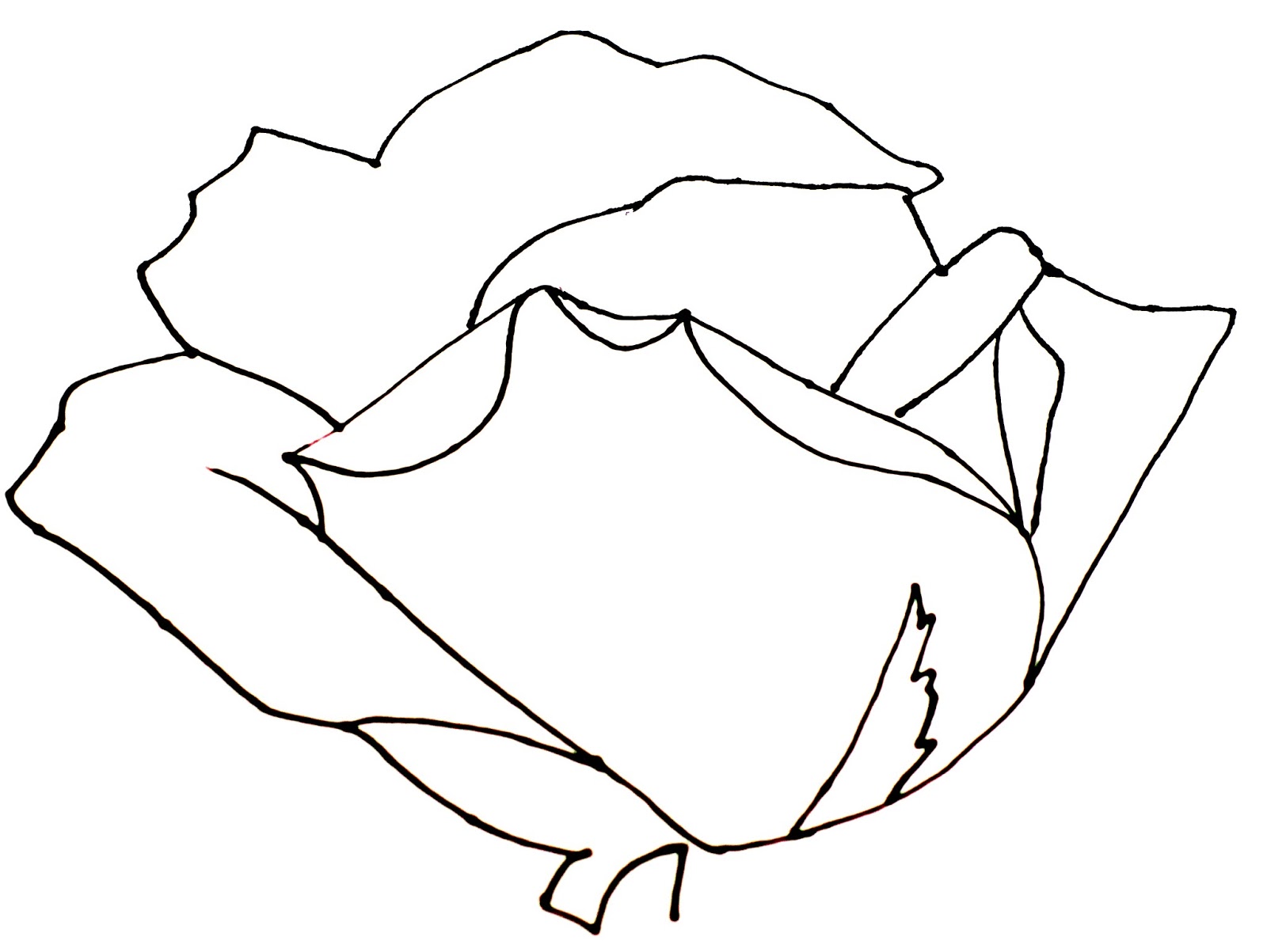 smART Class: Still Life Roses 101