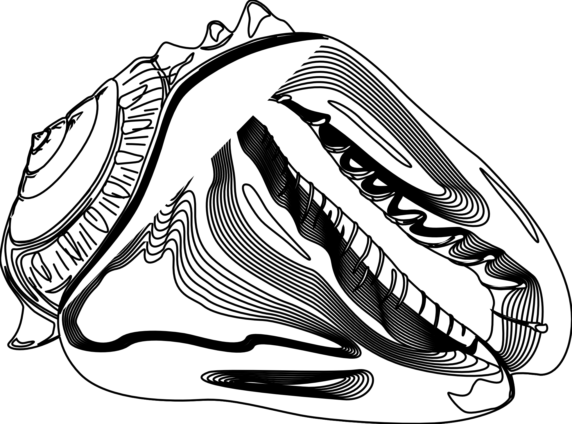 ArtFavor seashell 4 Scalable Vector Graphics SVG SVG