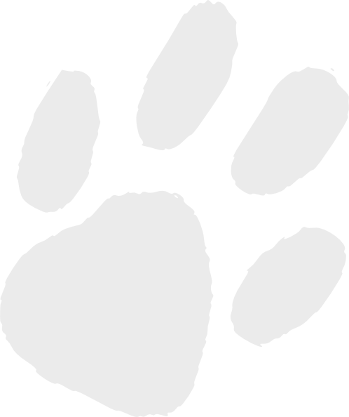 Paw print clipart transparent