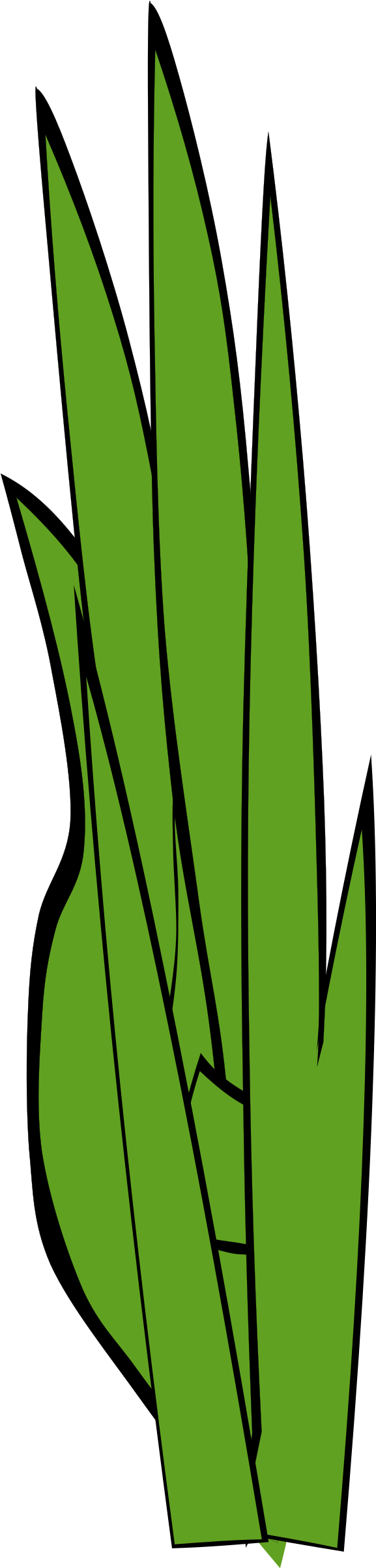 Clipart - Grass Blades and Clumps 5