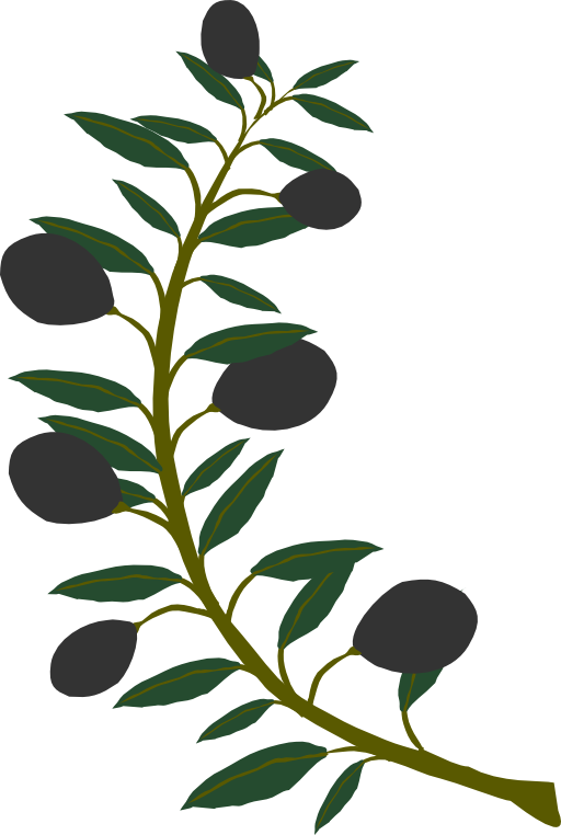 Olive tree branch clipart
