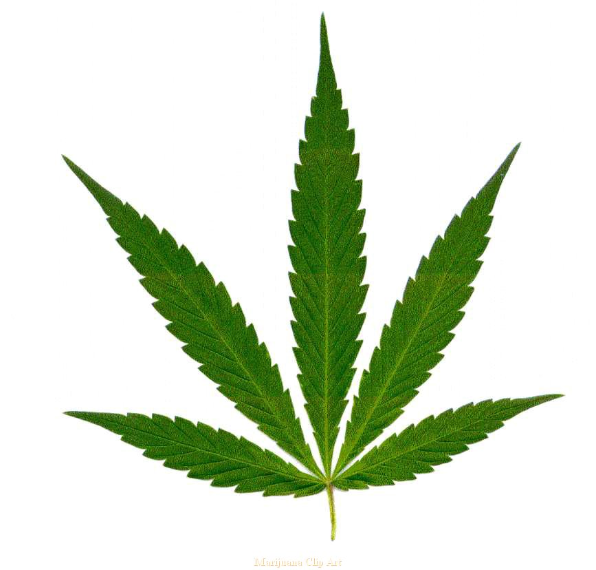 Marijuana leaf clip art - ClipartFox