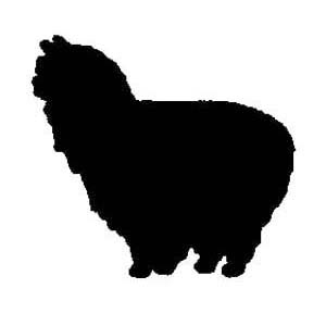 Quality Llama and Alpaca Products - Alternative Livestock Supply