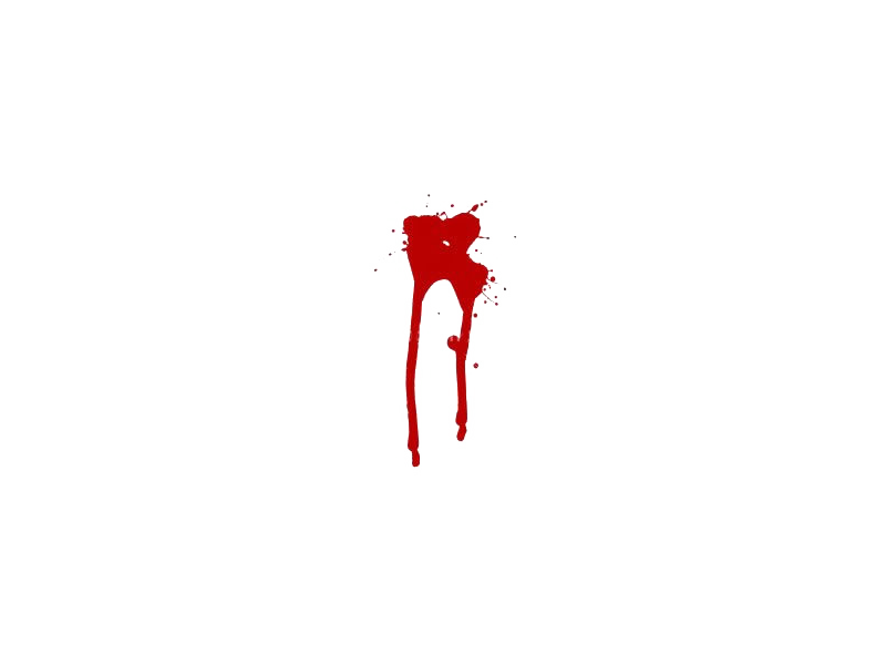 Need help... multiple people may try. :) | Last Chaos