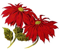 Vintage Christmas in Red and Green