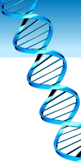 Center for Molecular Toxicology and Carcinogenesis Homepage