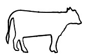 Cow tail Stock Photos / Pictures / Photography / Royalty Free ...