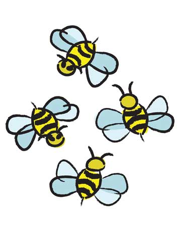 Colony Collapse Disorder Census 2010 - Colony Collapse Disorder ...