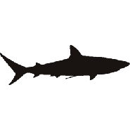 Marine - Animals - Shapes - Stencils