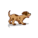 SedgePAW Dog Show