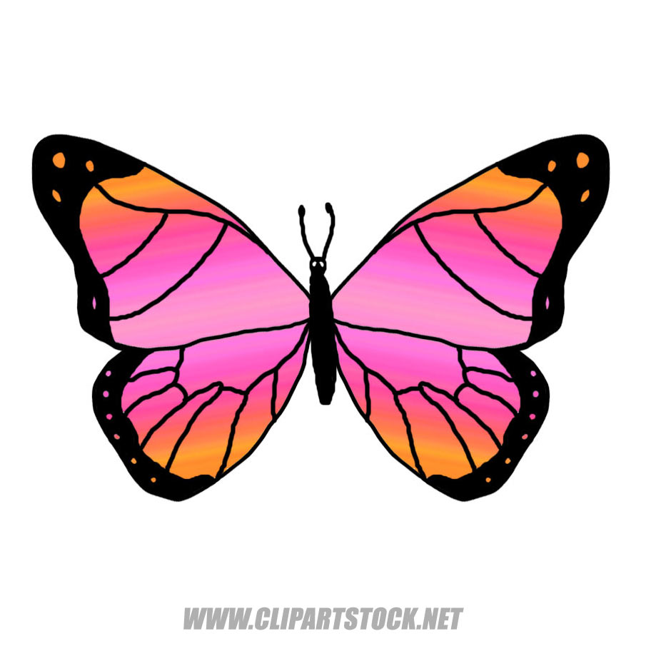 Cartoon Butterflies