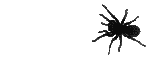 tarantula gifs Page 3 | WiffleGif
