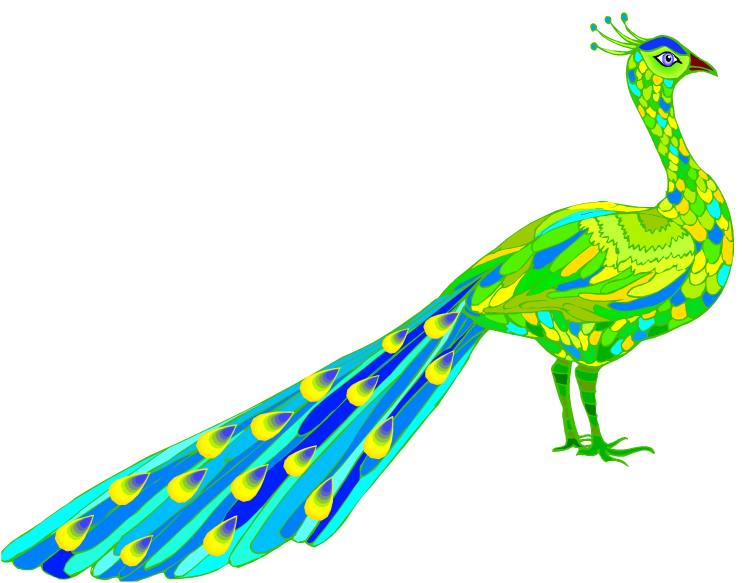 Free Peacock Clipart