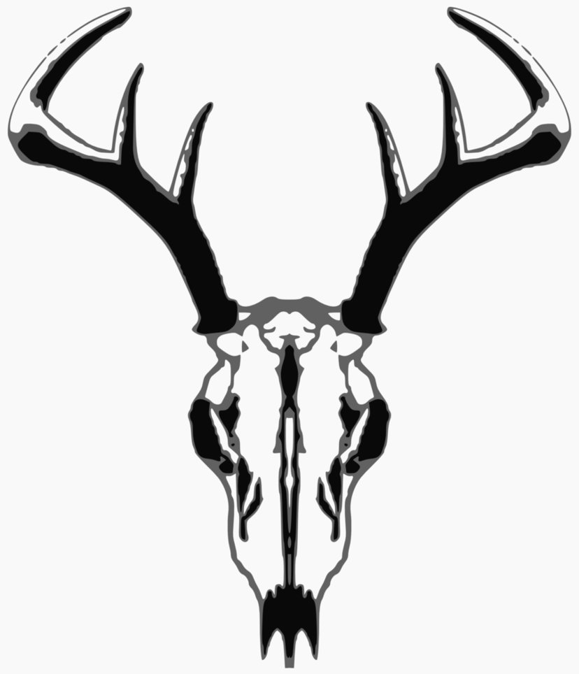 Deer Skull Pictures - ClipArt Best