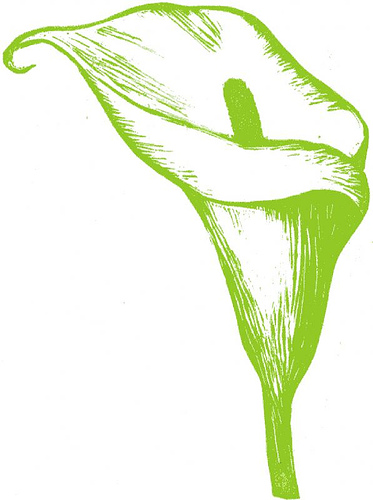 White Calla Lily Clip Art – Clipart Free Download