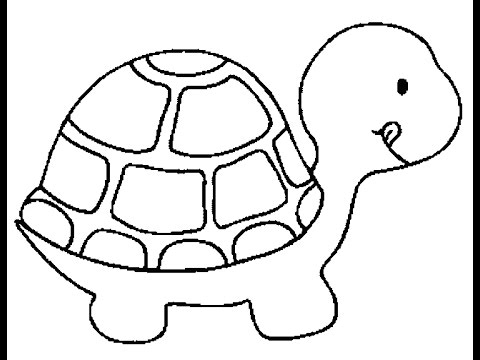 Drawing a Sea Turtle | How to Draw Easy Things ... - YouTube