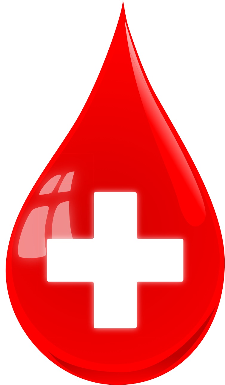 Blood Drop | Free Download Clip Art | Free Clip Art | on Clipart ...