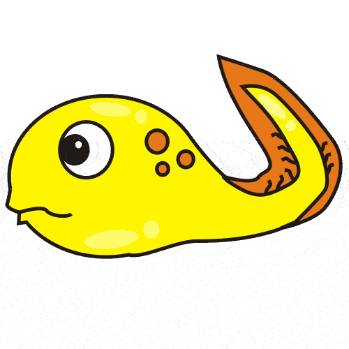 Tadpole Clipart