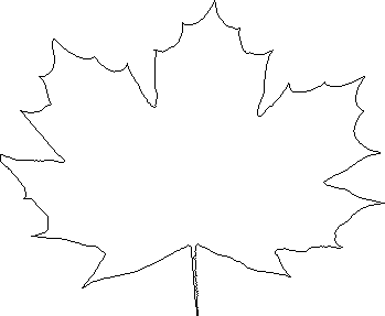 Autumn Leaf Outline Kootationcom